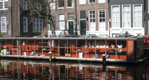 Meet The Cat Boat: Amsterdam’s Floating Sanctuary For Cats Amsterdam Photos, Floating Boat ...