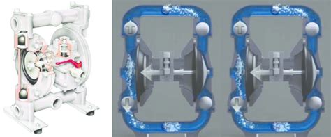 Diaphragm Pump Working Principle - Riset