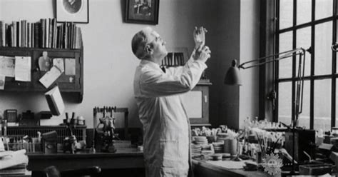 Almanac: The discovery of penicillin - CBS News