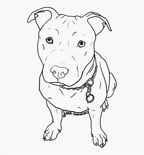 Update more than 152 pitbull dog drawing latest - seven.edu.vn