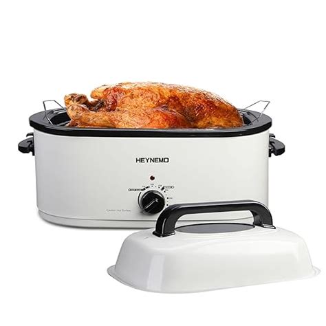 Find The Best Electric Turkey Roaster Oven Reviews & Comparison - Katynel