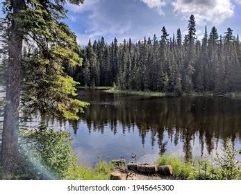 Lily Lake Lesser Slave Lake Provincial Stock Photo 1945645300 | Shutterstock