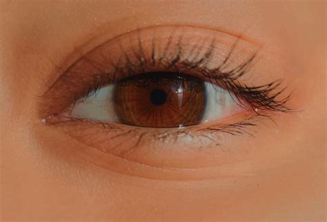 my brown eyes with greenish nerve rings : r/eyes