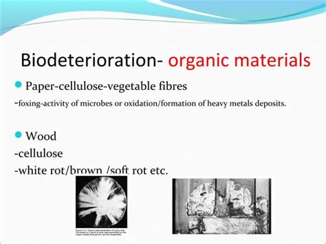 Biodeterioration | PPT