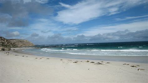 Exceptional Kangaroo Island (Kingscote, Australia) on TripAdvisor: Hours, Address, Tickets ...