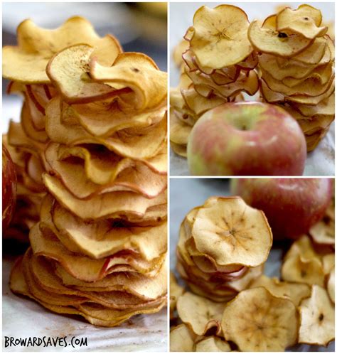 Homemade Crunchy Apple Chips Recipe