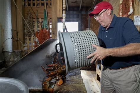 My Maine Summer: Steve Kingston ’88, the Clam Shack, and Maine’s best ...