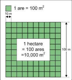 Hectare — Wikimini, l’encyclopédie pour enfants