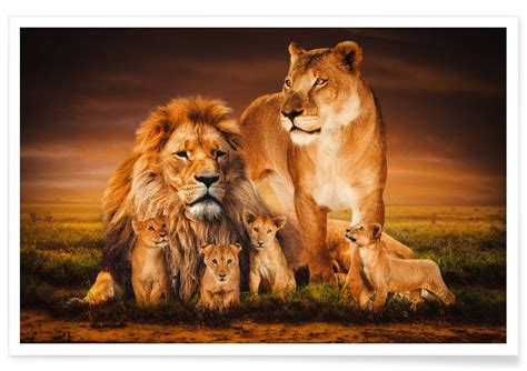 Lion Family Poster | JUNIQE