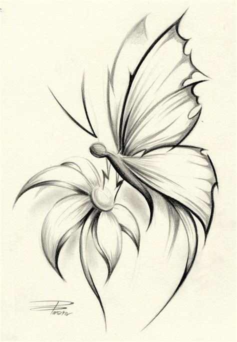 Butterfly Flower by ~davepinsker on deviantART | Flower art drawing, Pencil drawings of flowers ...