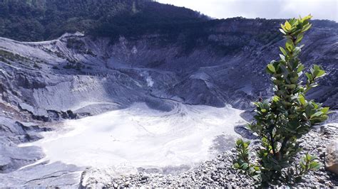 Tangkuban Perahu, a mount with a big crater at the bottom of it. Beautiful, artistic for ...