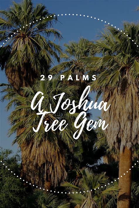 29 Palms: A Joshua Tree Hidden Gem - No Back Home