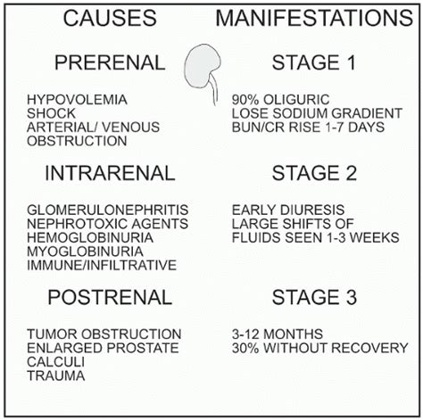 Acute Renal Failure | Nurse Key