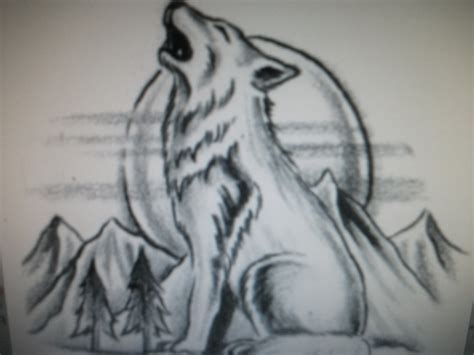 Wolf Howling At The Moon Drawing In Pencil at GetDrawings | Free download