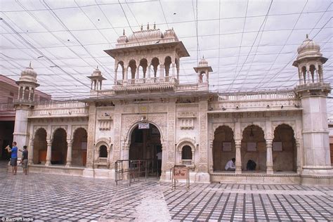 Karni Mata rat Temple in Rajasthan, India | Daily Mail Online