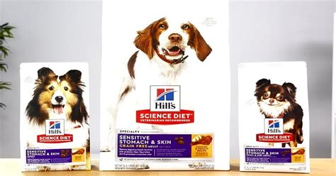 The Hill’s Science Diet Every Great Day Sweepstakes - The Freebie Guy®