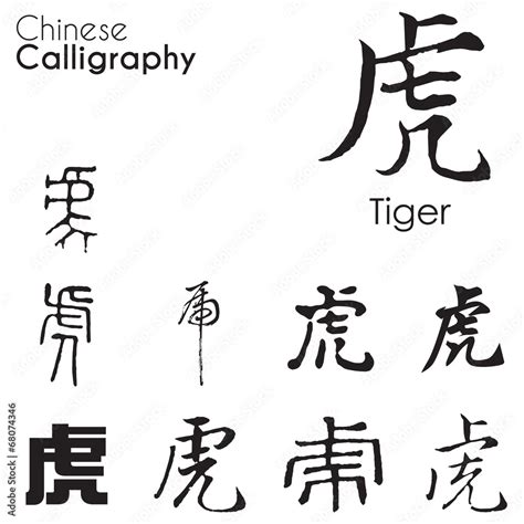 "Tiger" character in different kind of Chinese Calligraphy Stock Vector ...