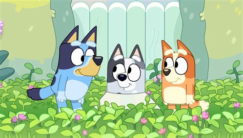 Bluey season 3 episodes: How to watch, where, + more