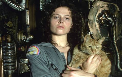 Jonsey, the cat from Alien, is getting his own spin-off