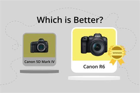 Canon EOS 5D Mark IV vs EOS R6 (Which is Better in 2024?)