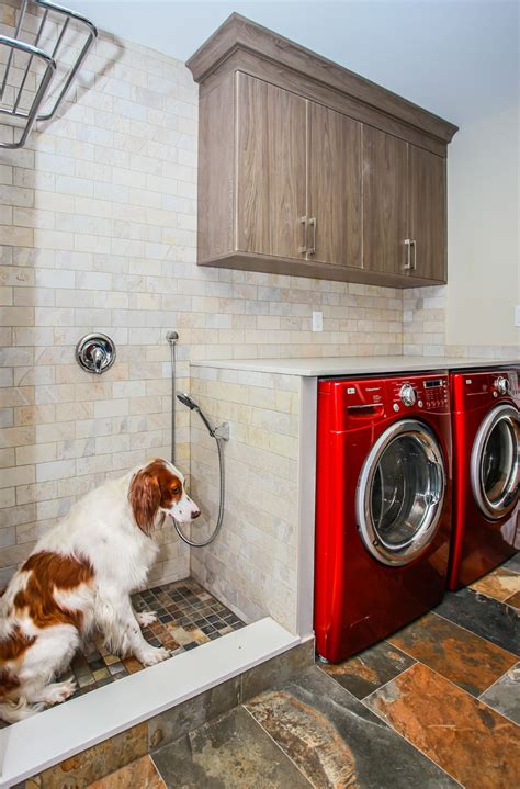 Laundry with Dog Shower - Total Living Concepts