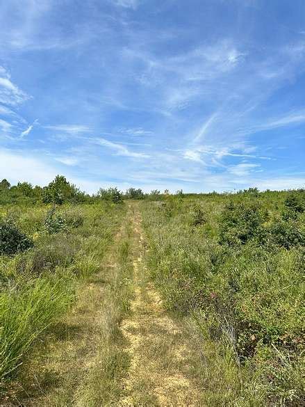 138 Acres of Land for Sale in Concord, Virginia - LandSearch