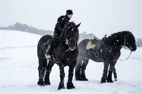 Top Destinations for Horse Riding in Winter - BookHorseRidingHolidays.com