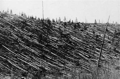 Relembre o evento Tunguska: quando um meteorito de 100 toneladas ...