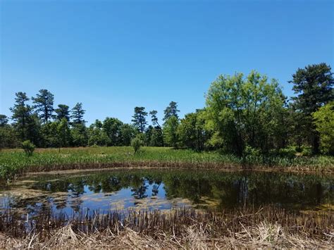 Ocean County opens up Nature and Visitor Centers at Parks