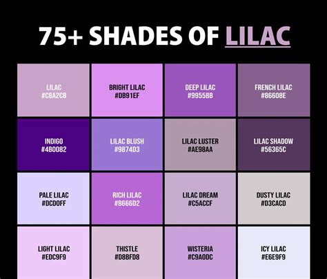 75+ Shades of Lilac Color (Names, HEX, RGB, & CMYK Codes) – CreativeBooster