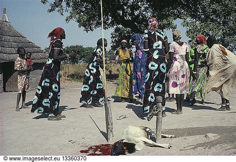 SUDAN Tribal People Dinka marriage ceremony SUDAN Tribal People Dinka marriage ceremony ...