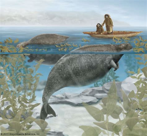 6 Animals We Ate Into Extinction | Britannica