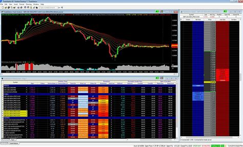 Trading Platform Worldwide | Marketing training, Videos tutorial, Trading