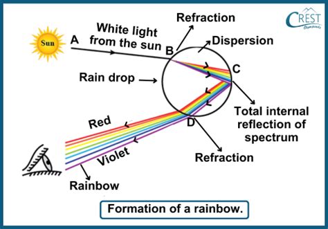 Human Eye and The Colourful World Notes | Science Olympiad Class 10