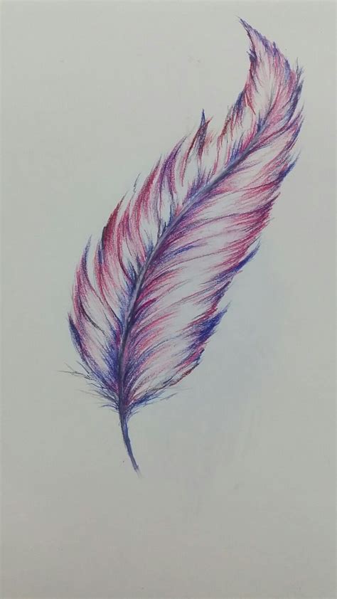 Colored pencil #feather | Feather drawing, Feather art drawing, Feather art