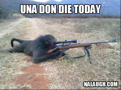 Funny Picture: The Sniper - Jokes Etc - Nigeria