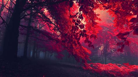 Red Fall Wallpapers - Top Free Red Fall Backgrounds - WallpaperAccess