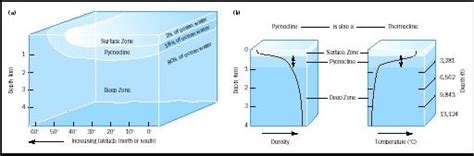 Sea Water, Physics and Chemistry of - river, depth, oceans, effects, temperature, important ...