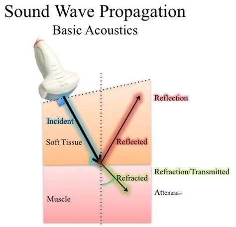 Internal Medicine Point of Care Ultrasound - IMPoCUS