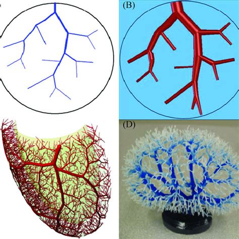 (A), (B) A vascular tree containing 12 segments designed with the... | Download Scientific Diagram