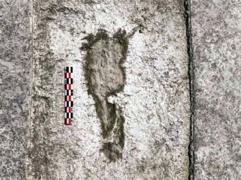 Ice Age footprints shed light on North America’s early humans