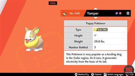 Pokémon Sword & Shield: What Level Does Yamper Evolve & 9 Other Things ...