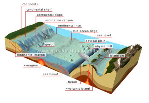 EARTH :: GEOLOGY :: OCEAN FLOOR image - Visual Dictionary Online