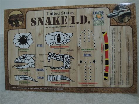 Snake Identification Guide Snake I. D. Chart - Do and Don't Do Herpetology Guide