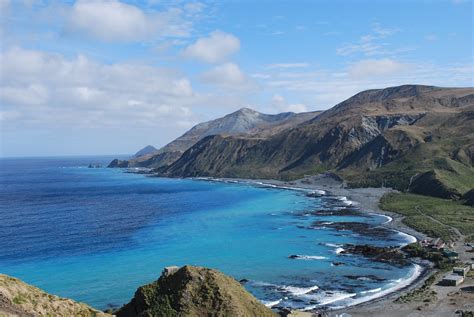 Return of the Mac: The resurgence of Macquarie Island and the Subantarctic Bedstraw - Lost ...