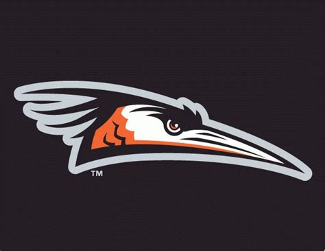 Delmarva Shorebirds Cap Logo (2010) - The head of a bird facing right in warm red and black with ...