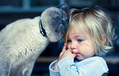 The friendship between children and cats is magical (Gallery)