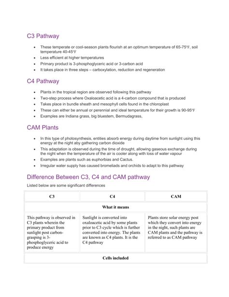 C3 Pathway