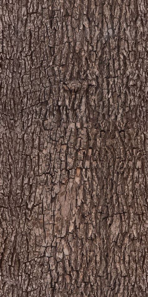 Tree Bark Texture for Branches Web Design