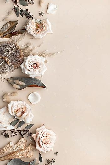 Styled Stock Springtime Floral, beige spring HD phone wallpaper | Pxfuel